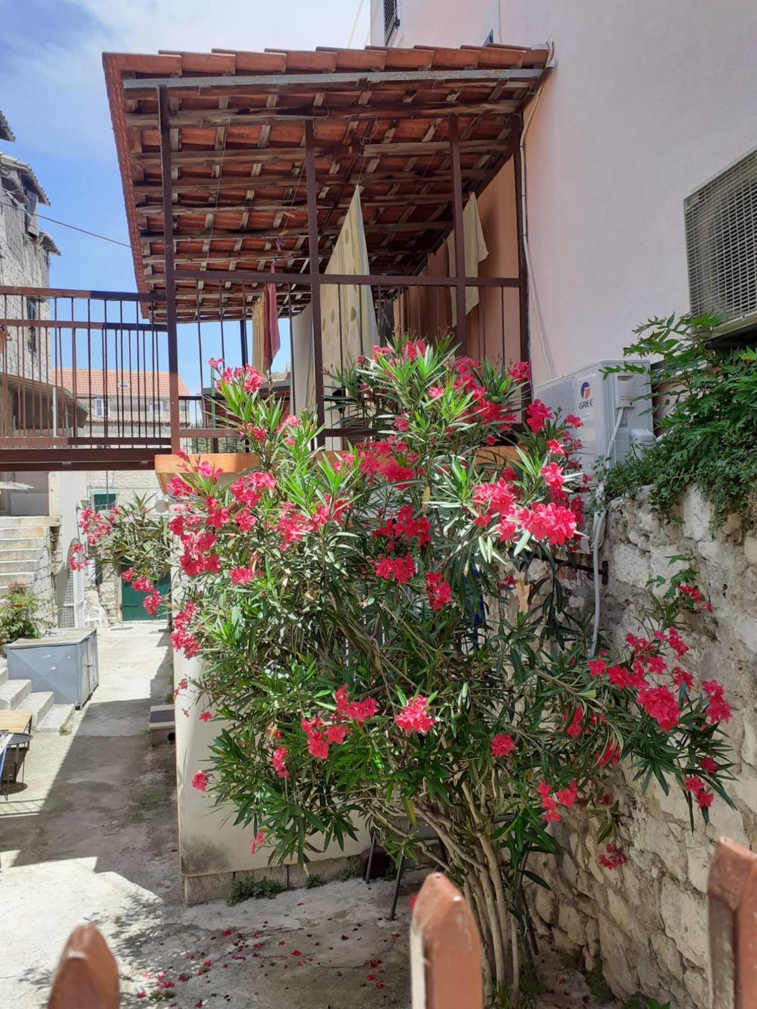 Oleander Apartments Сплит Экстерьер фото